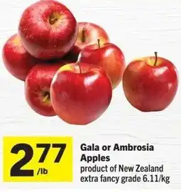 IGA Gala or Ambrosia Apples offer