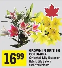IGA Grown in british columbia oriental lily 5 stem or hybrid lily 8 stem offer