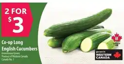 Co-op Co-op Long English Cucumbers offer