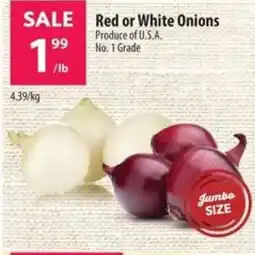 Co-op Red or White Onions offer