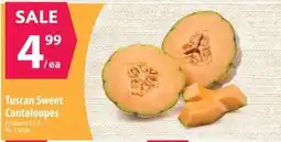 Co-op Tuscan Sweet Cantaloupes offer