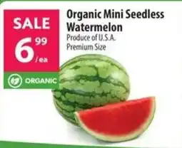 Co-op Organic Mini Seedless Watermelon offer