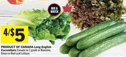Co-op Long English Cucumbers offer