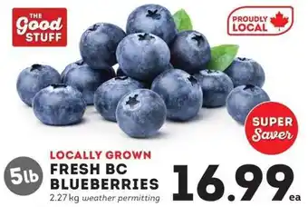 Locally grown fresh bc blueberries