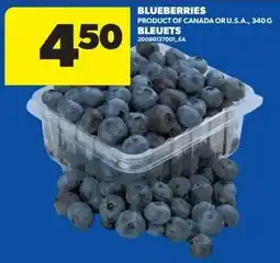 Real Canadian Superstore Blueberries offer