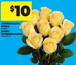Real Canadian Superstore Intermediate roses offer