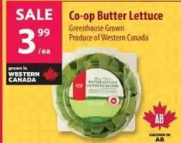 Co-op Co-op Butter Lettuce offer