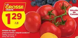 Maxi Tomates sur vigne offer