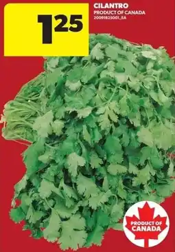 Real Canadian Superstore Cilantro offer