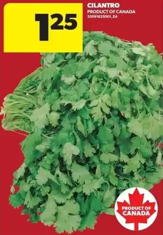 Real Canadian Superstore Cilantro offer