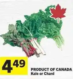 Co-op Kale or Chard offer