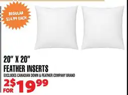 Len's Mill Stores 20 x 20 feather inserts offer