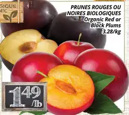 Supermarché PA PRUNES ROUGES OU NOIR BIOLOGIQUES | Organic Red or Black Plums offer