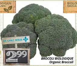 Supermarché PA BROCOLI BIOLOGIQUE | Organic Broccoli offer