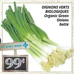 Supermarché PA OIGNONS VERTS BIOLOGIQUES | Organic Green Onions botte offer