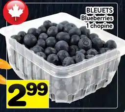 Supermarché PA BLEUETS | Blueberries offer