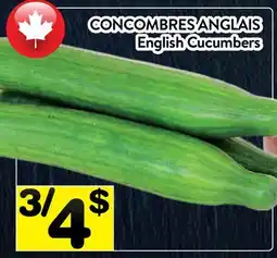 Supermarché PA CONCOMBRES ANGLAIS | English Cucumbers offer