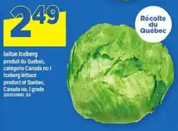 Maxi Laitue Iceberg offer