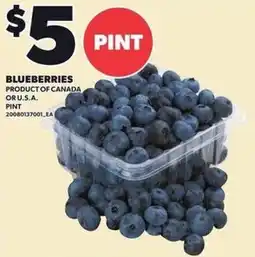 Loblaws Blueberries offer