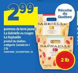 Maxi Pommes de terre jaunes La Gabrielle ou rouges La Raphaëlle offer