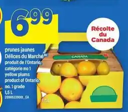 Maxi Prunes jaunes offer