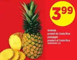 Maxi Ananas offer