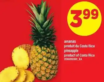 Maxi Ananas offer