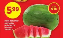 Maxi Melon d'eau entier sans pépins offer