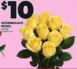 Loblaws Intermediate roses 9 stem offer