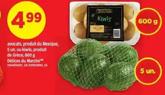 Maxi Avocats offer