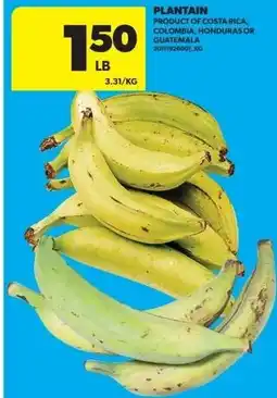 Real Canadian Superstore Plantain offer