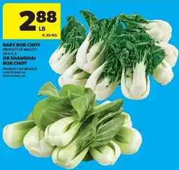 Real Canadian Superstore Baby bok choy or shanghai bok choy offer