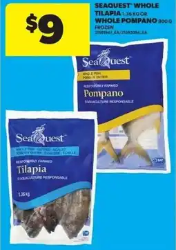 Real Canadian Superstore SEAQUEST WHOLE TILAPIA OR WHOLE POMPANO offer