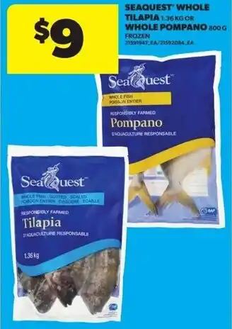 Real Canadian Superstore SEAQUEST WHOLE TILAPIA OR WHOLE POMPANO offer