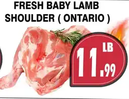 Al-Quds Supermarket Fresh baby lamb shoulder (ontario ) offer