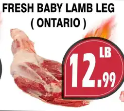 Al-Quds Supermarket Fresh baby lamb leg ( ontario ) offer