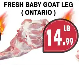 Al-Quds Supermarket Fresh baby goat leg ( ontario ) offer