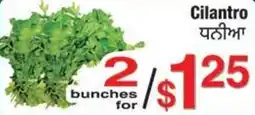 Fruiticana Cilantro offer