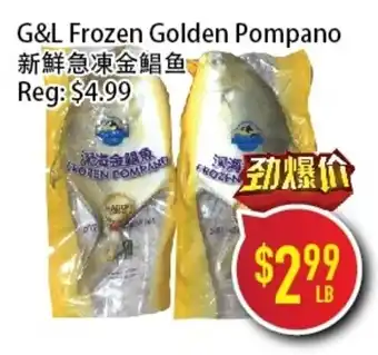 G&L Frozen Golden Pompano