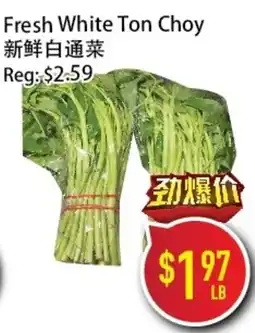 Full Fresh Supermarket Fresh White Ton Choy offer