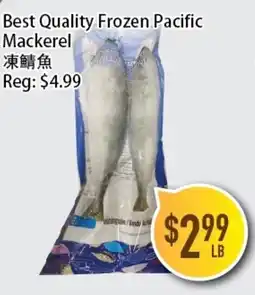 Full Fresh Supermarket Best Quality Frozen Pacific Mackerel offer