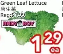 Superking Supermarket Green Leaf Lettuce offer