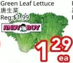 Superking Supermarket Green Leaf Lettuce offer