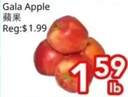 Superking Supermarket Gala Apple offer