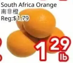 Superking Supermarket South Africa Orange offer