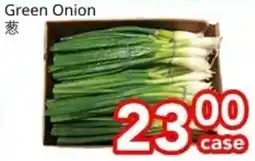 Superking Supermarket Green Onion offer