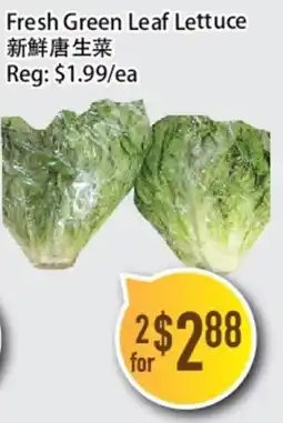 Full Fresh Supermarket Fresh Green Leaf Lettuce offer