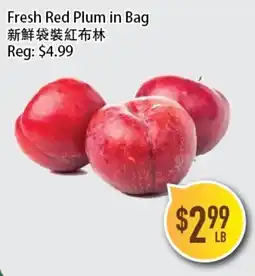 Full Fresh Supermarket Fresh Red Plum in Bag offer