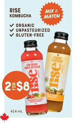 The Sweet Potato Rise kombucha offer