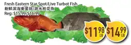 Full Fresh Supermarket Fresh Eastern Star Spot/Live Turbot Fish offer